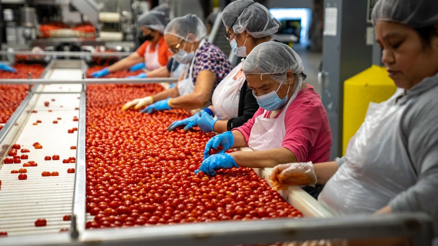 Linha de produção alimentar — pré-requisitos HACCP e controlo de pragas